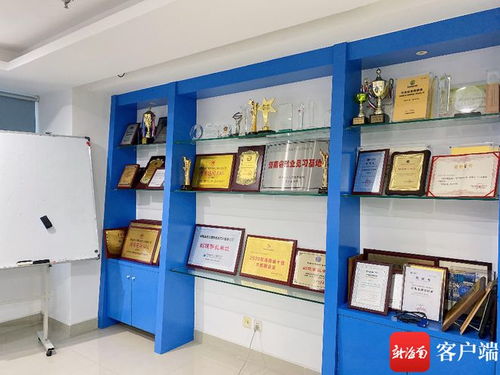 海南藍(lán)點(diǎn)獲評(píng)省級(jí)專精特新中小企業(yè)，軟件開發(fā)領(lǐng)域再添新動(dòng)能